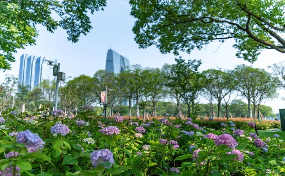 承包春日周末！快來園區公園“充電”